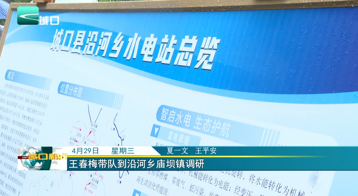 王春梅带队到沿河乡庙坝镇调研