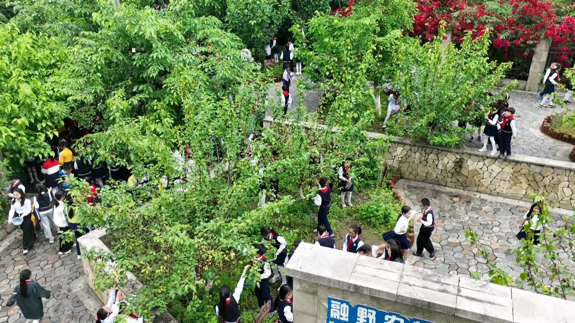 航拍.jpg