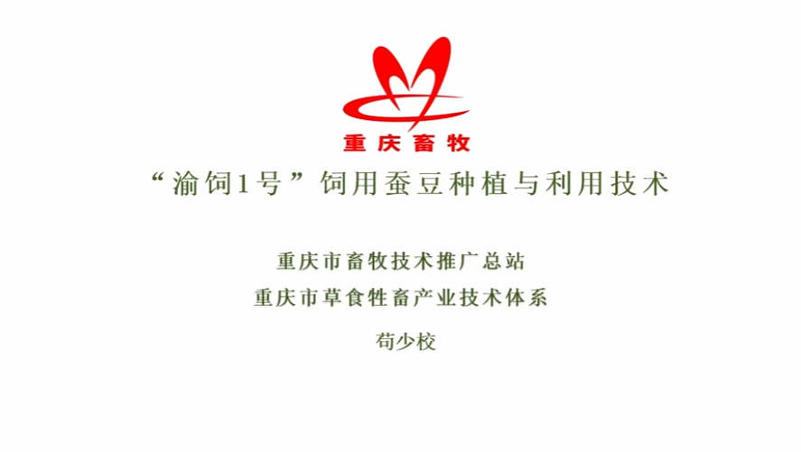 【农技慕课】“渝饲1号”饲用蚕豆种植与利用技术