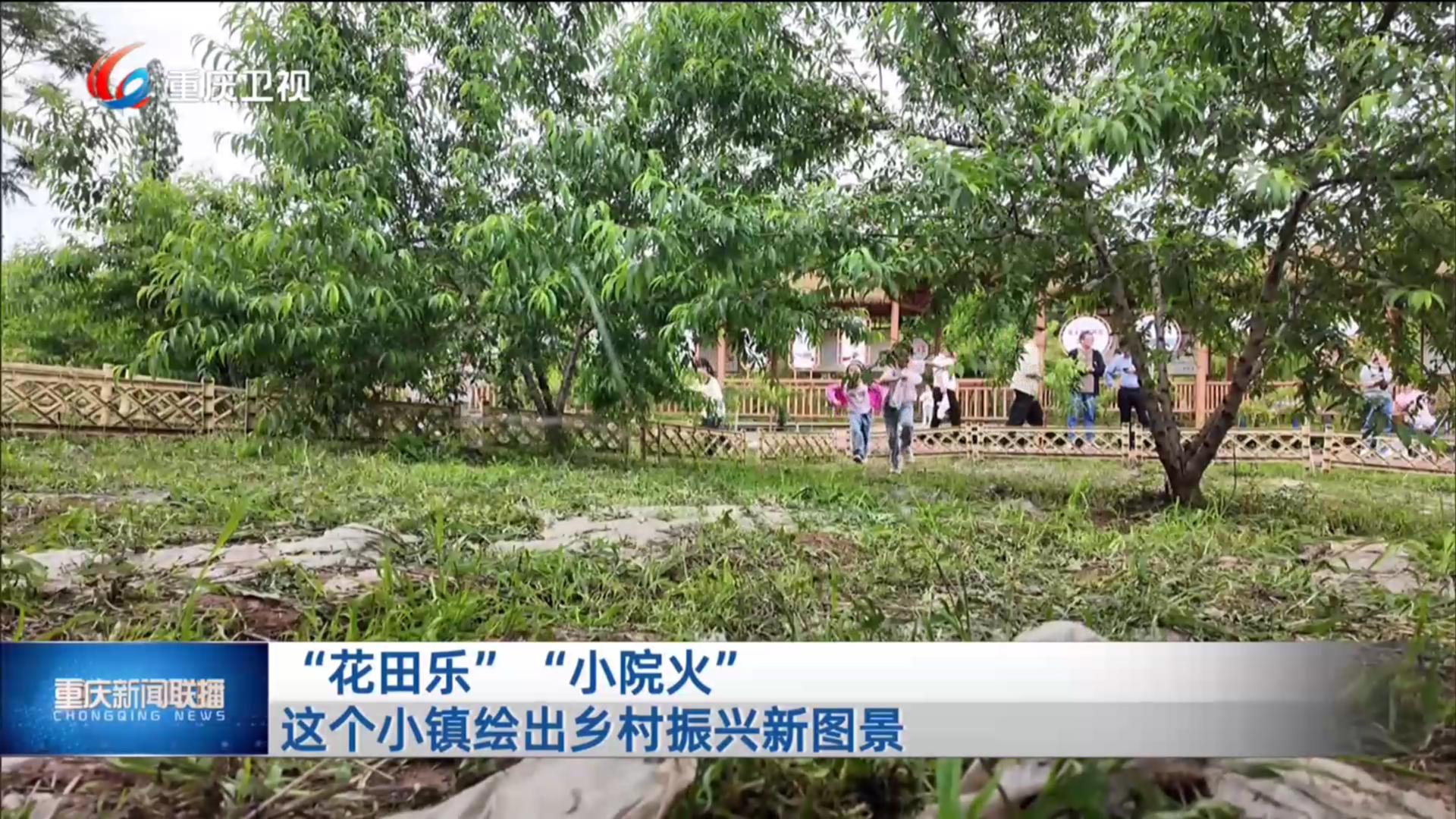 “花田乐”“小院火” 这个小镇绘出乡村振兴新图景