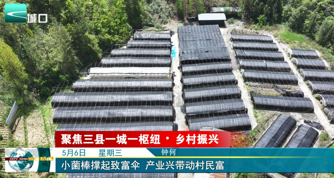 小菌棒撑起致富伞 产业兴带动村民富
