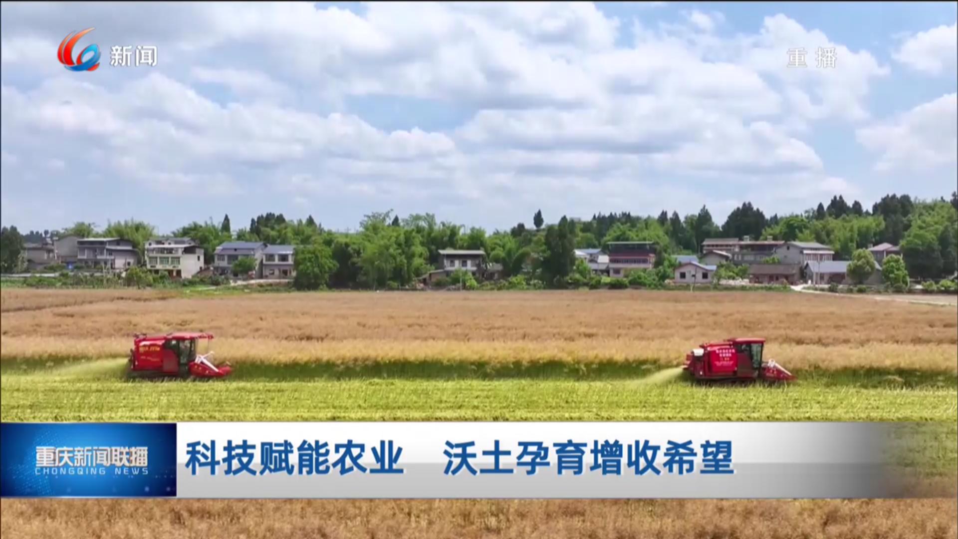 科技赋能农业 沃土孕育增收希望