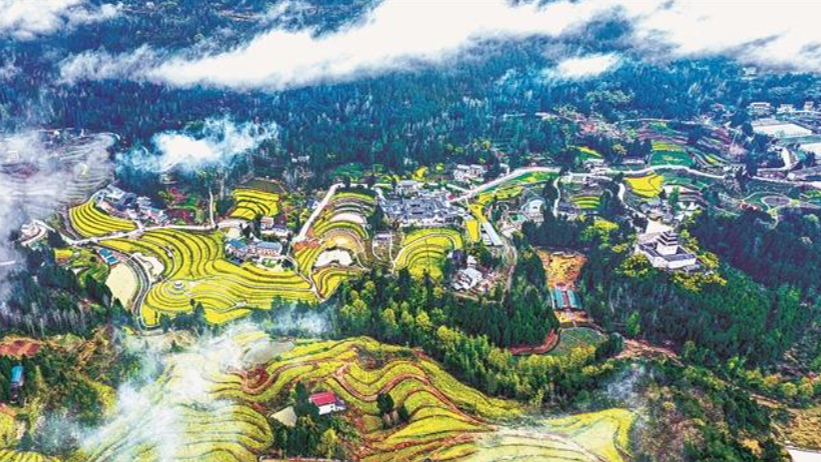 黎明古村 蝶变焕新