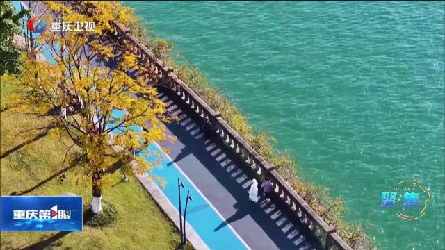 “城”势向上 环境向好 生态生金 万鸟翔集的“山城图景”