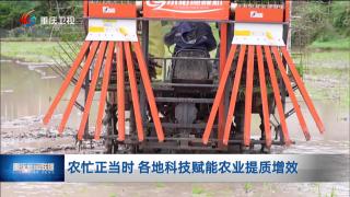 农忙正当时 各地科技赋能农业提质增效
