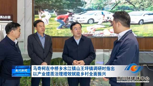 马奇柯在中桥乡水江镇山王坪镇调研时指出 以产业提质增效赋能乡村全面振兴