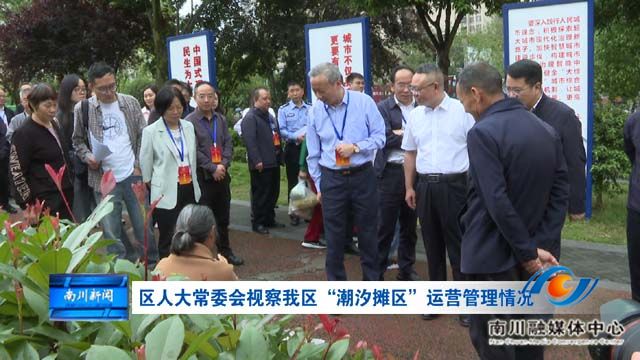 区人大常委会视察我区“潮汐摊区”运营管理情况