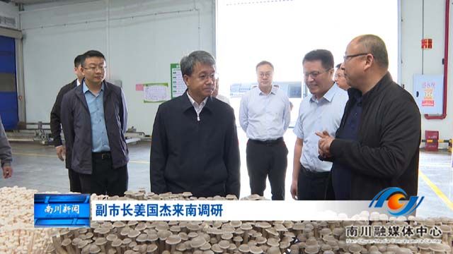 副市长姜国杰来南调研