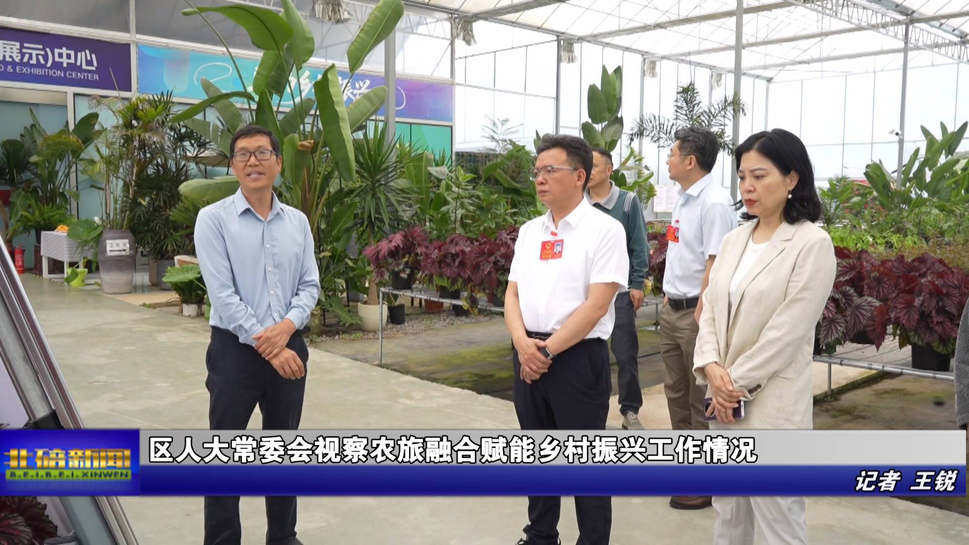 区人大常委会视察农旅融合赋能乡村振兴工作情况