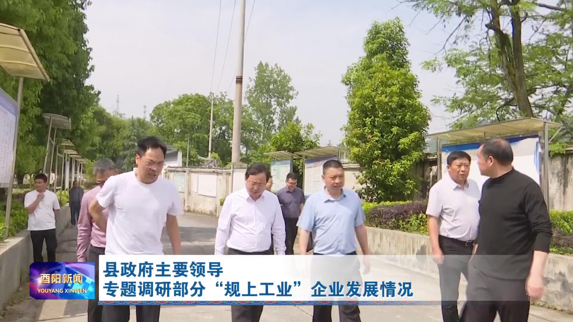 县政府主要领导专题调研部分“规上工业”企业发展情况