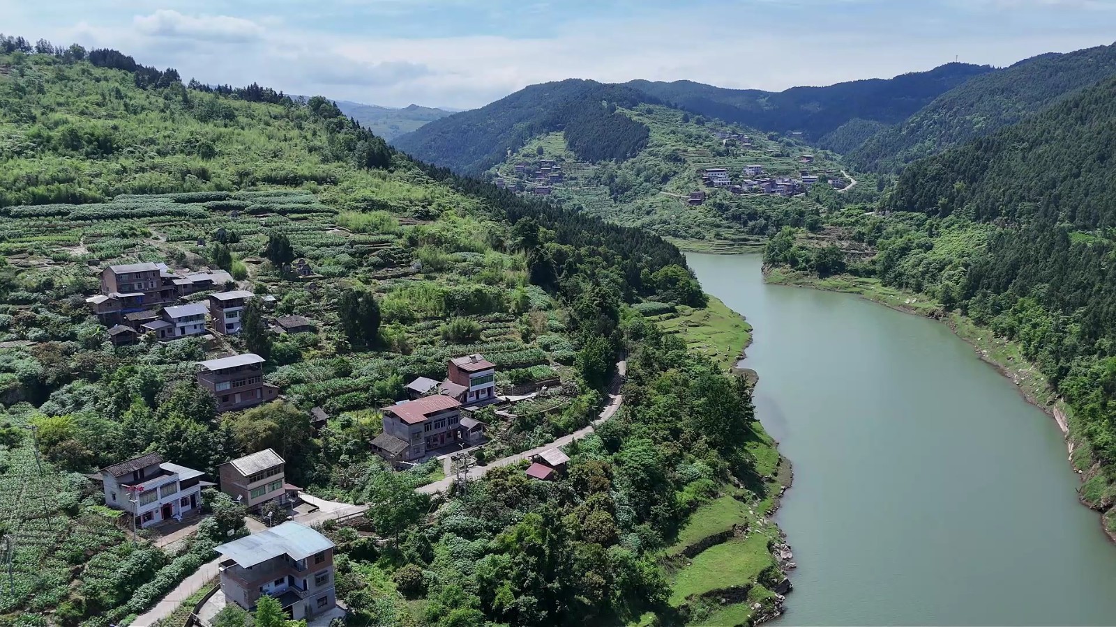 洋渡镇花岭村龙眼种植基地。拍摄：吴建华.jpg
