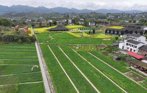 盘活资源资产破解资金难题 解密重庆农村基础设施投融资十年改革路