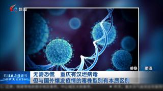 无需恐慌 重庆有汉坦病毒但与国外爆发疫情的毒株型别有本质区别