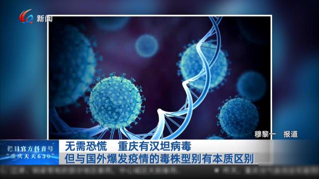无需恐慌 重庆有汉坦病毒但与国外爆发疫情的毒株型别有本质区别