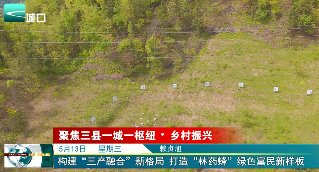 
构建“三产融合”新格局 打造“林药蜂”绿色富民新样板