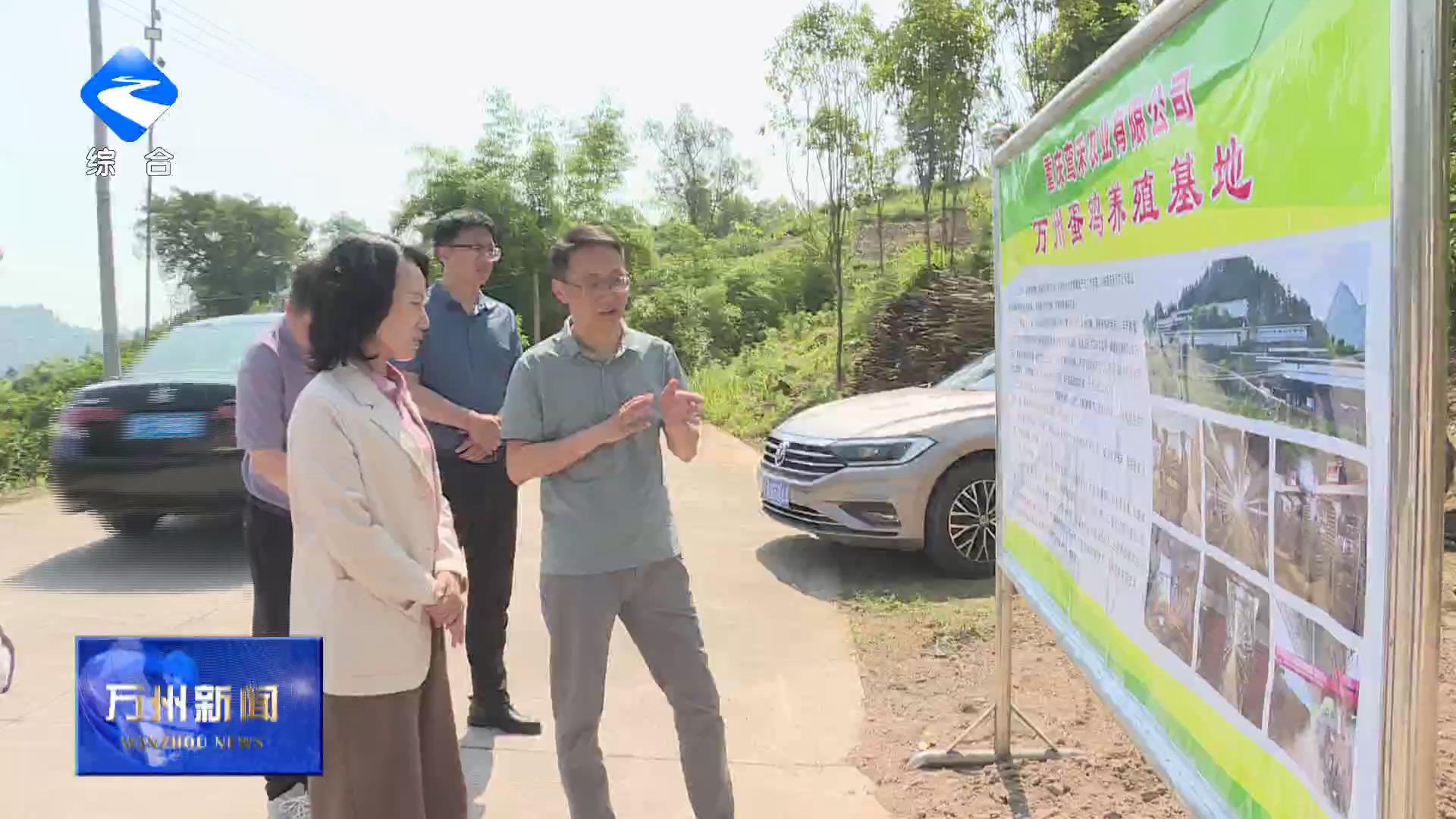 区人大常委会调研长滩镇重点产业发展及基层人大工作 王频率队