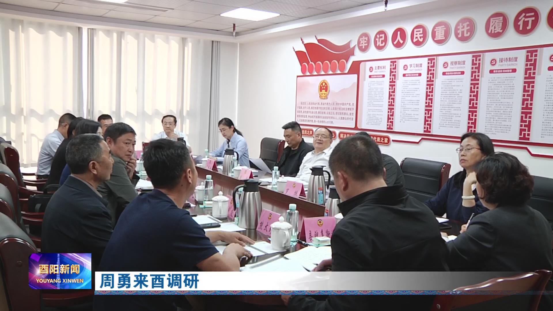 周勇来酉调研