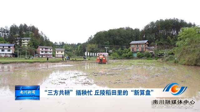 《在希望的田野上》“三方共耕”插秧忙 丘陵稻田里的“新算盘”