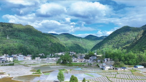 图片新闻｜重庆酉阳：辣椒基地风光如画