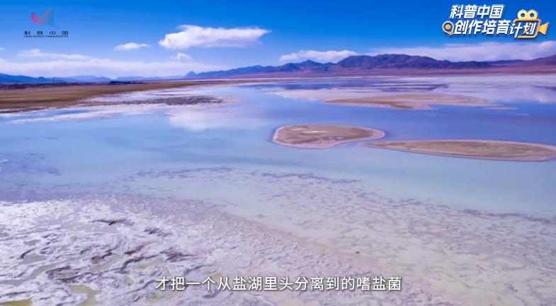  【时代映像】创新之路：从实验室到未来潜力
