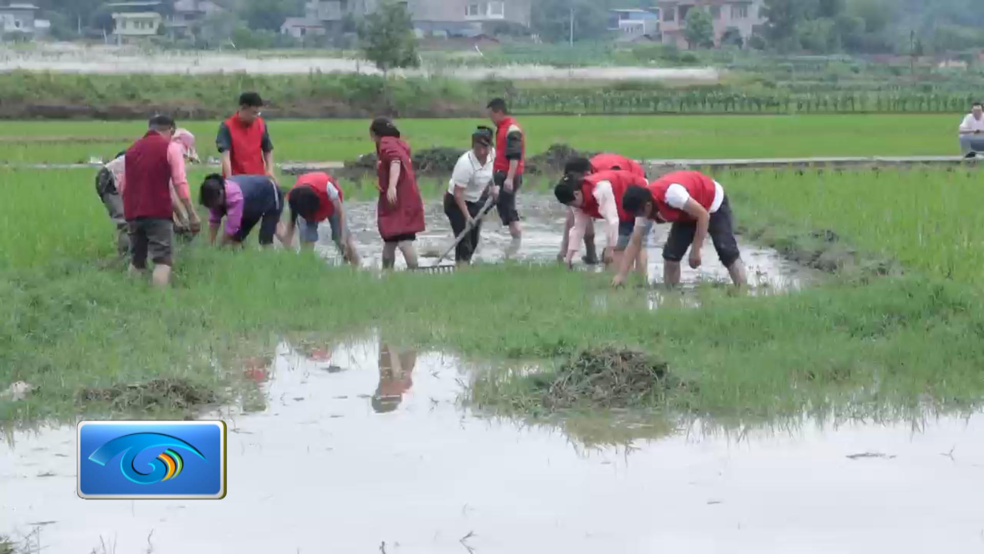 东岳小学：志愿助耕服务队 师者担当暖乡村