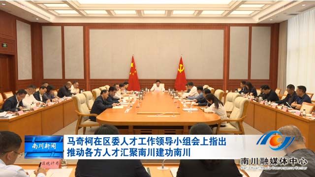 马奇柯在区委人才工作领导小组会上指出 推动各方人才汇聚南川建功南川