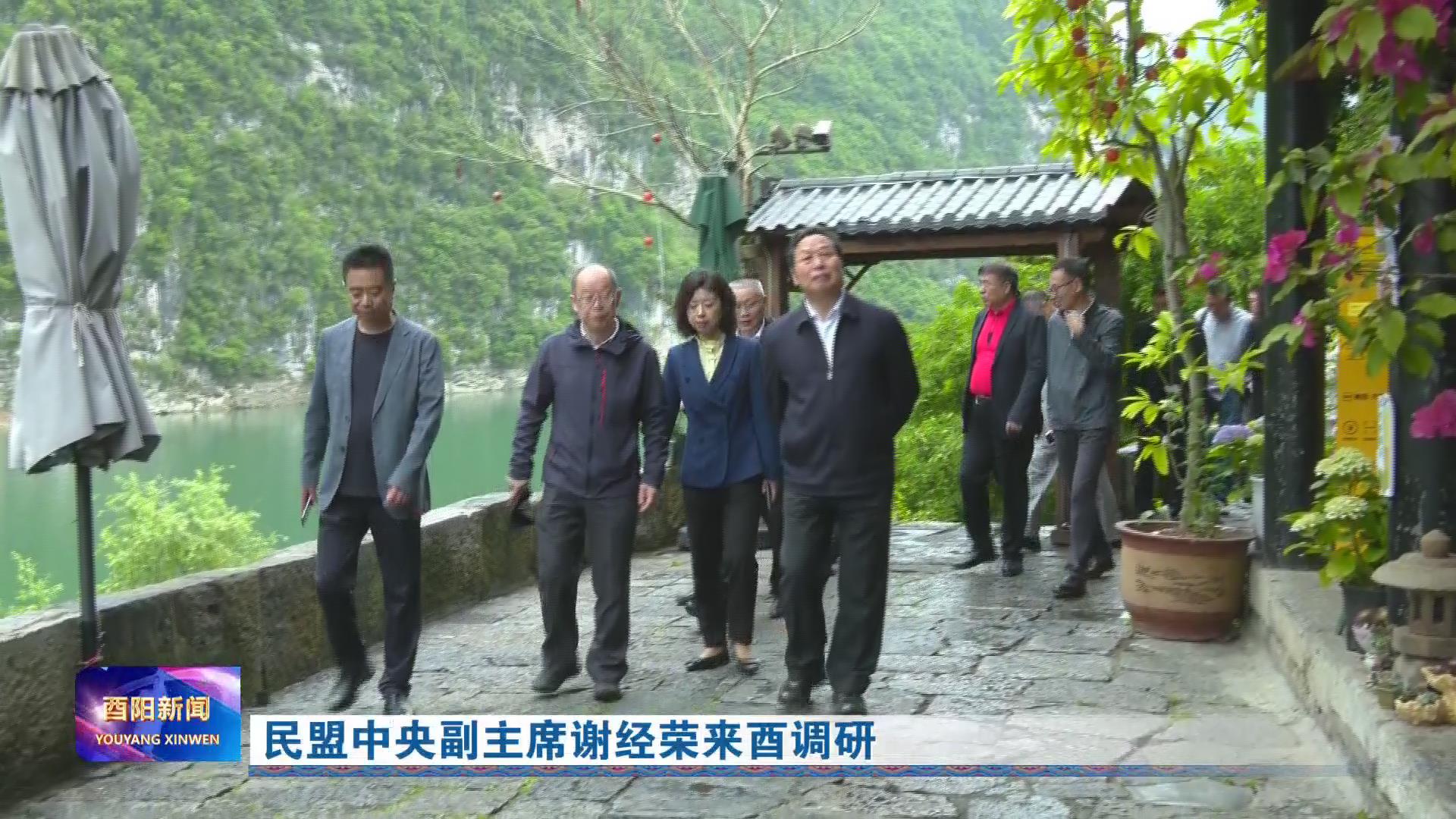 民盟中央副主席谢经荣来酉调研