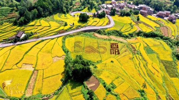 山珍出山风味出圈 “酉阳800”登陆西洽会美食嘉年华
