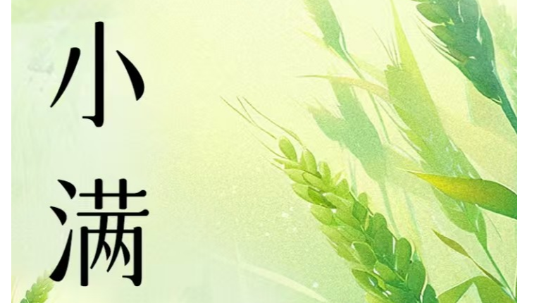 百本好书送你读｜小满