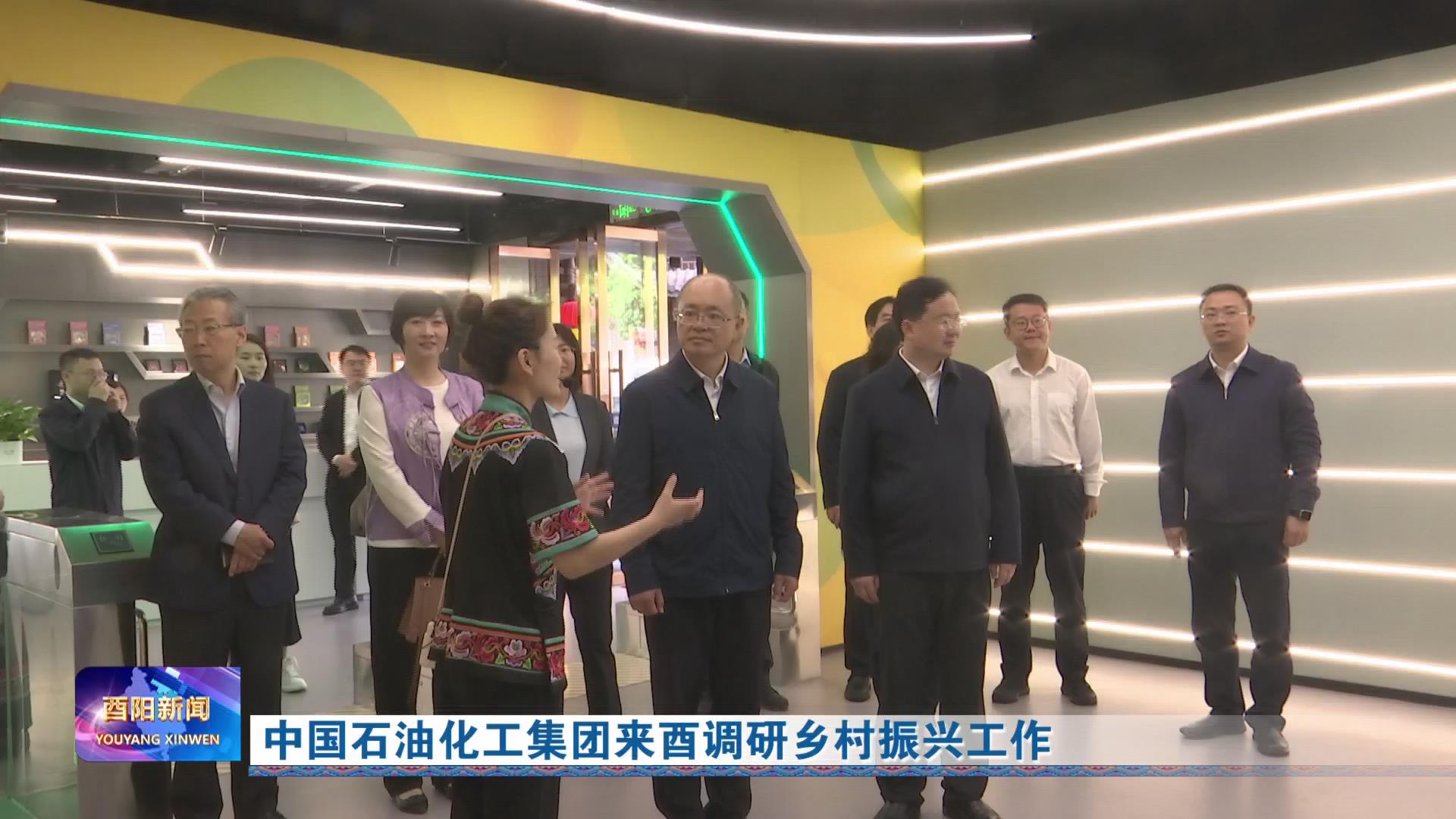 中国石油化工集团来酉调研乡村振兴工作