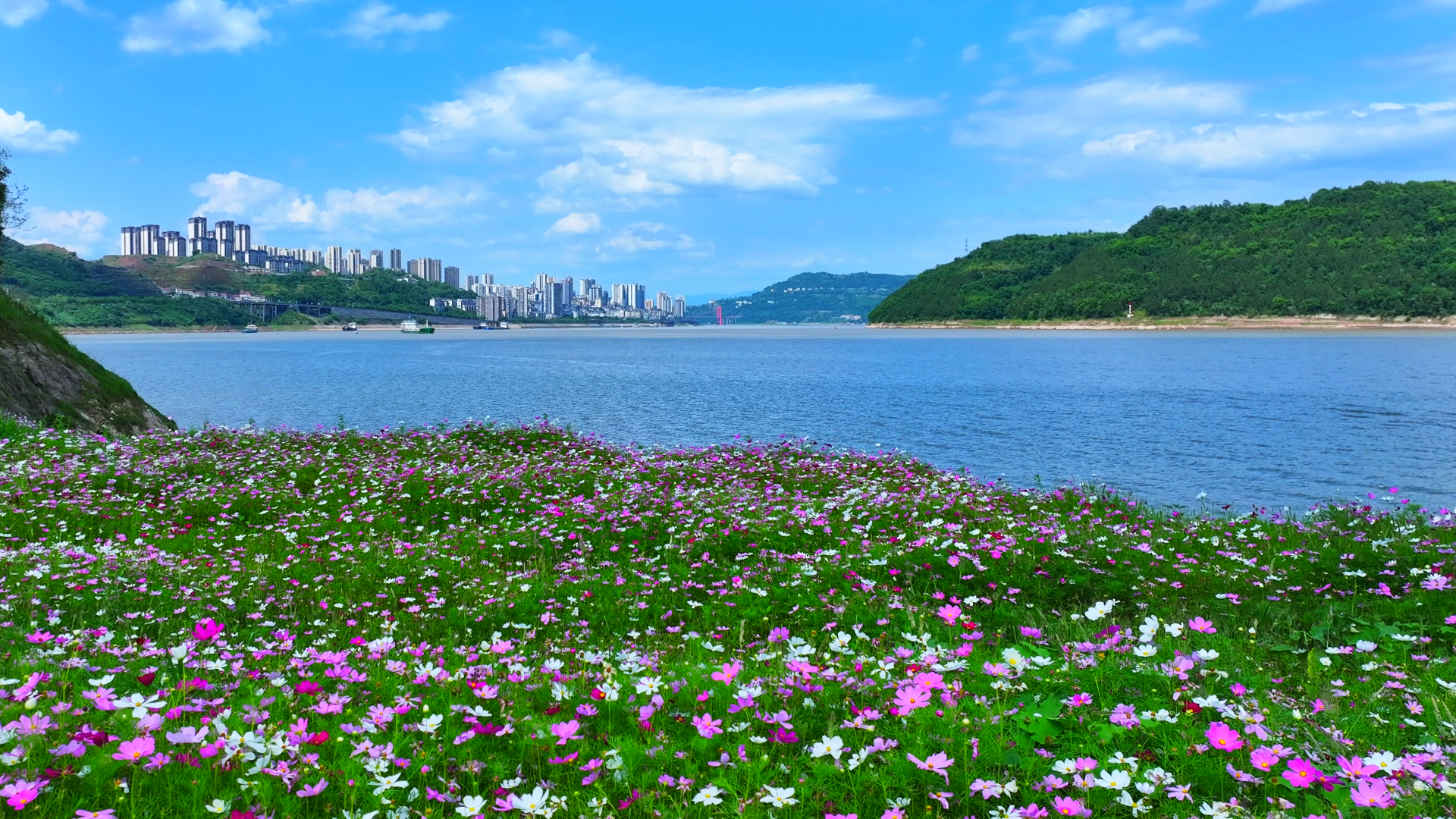 蓝天、碧水、繁花、江岸、城市交相辉映。 刘超 摄.png