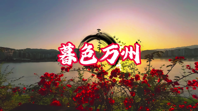 暮色万州：花影摇曳 夕阳熔金