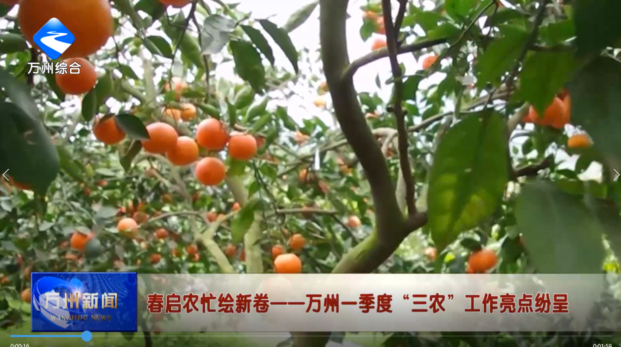 春启农忙绘新卷——万州一季度“三农”工作亮点纷呈
