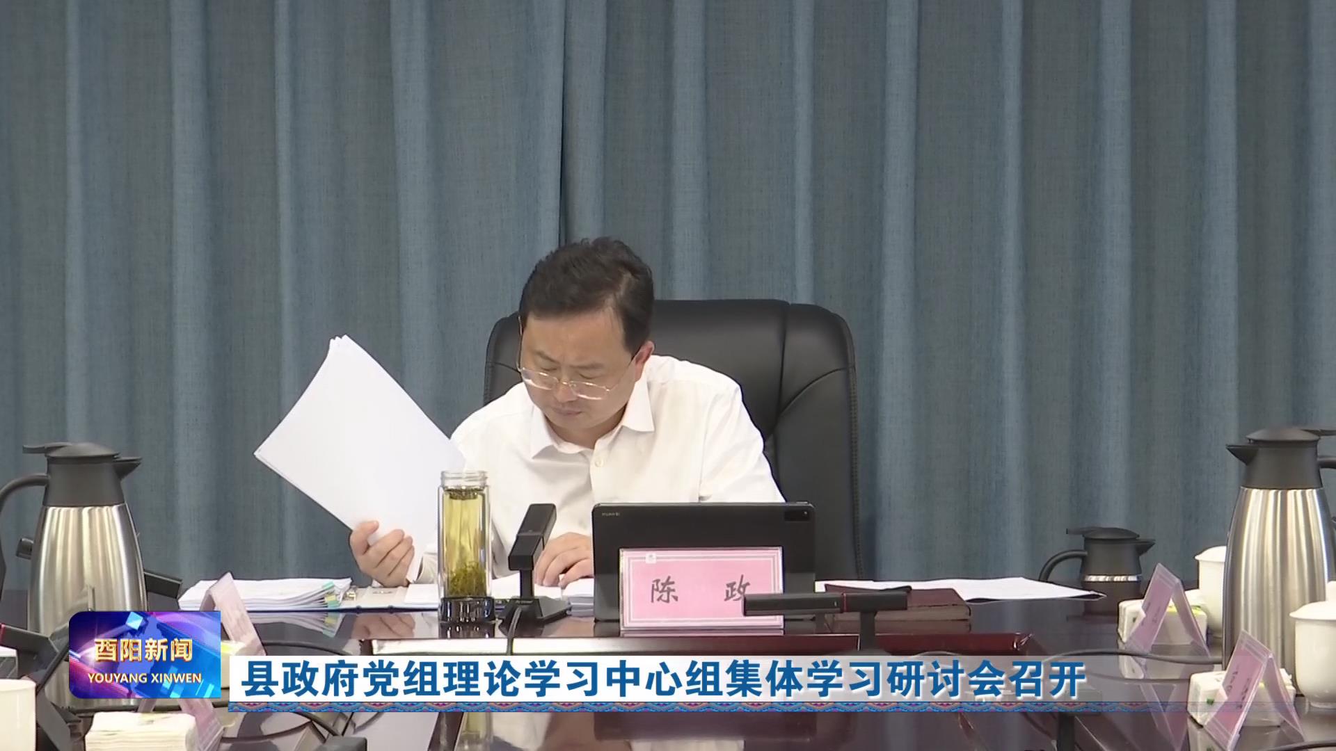 县政府党组理论学习中心组集体学习研讨会召开