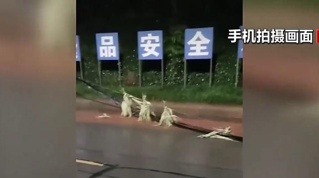 重庆荣昌：雨夜线缆掉落阻路 市民冒雨拦车避险