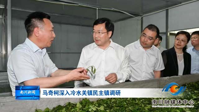 马奇柯深入冷水关镇民主镇调研