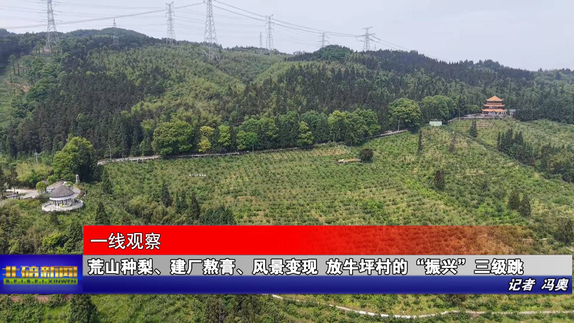 荒山种梨、建厂熬膏、风景变现 放牛坪村的“振兴”三级跳