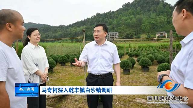 马奇柯深入乾丰镇白沙镇调研