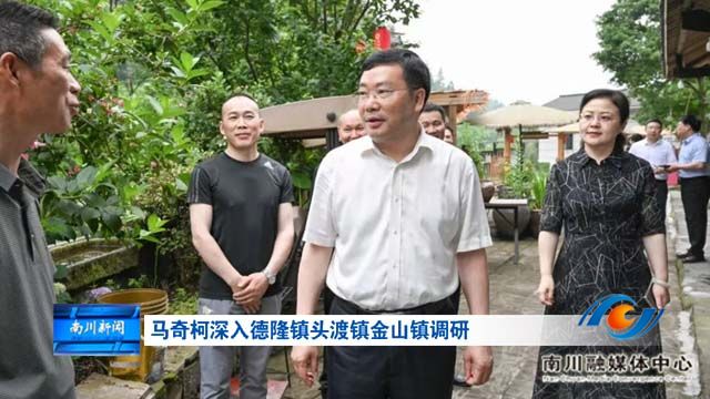 马奇柯深入德隆镇头渡镇金山镇调研