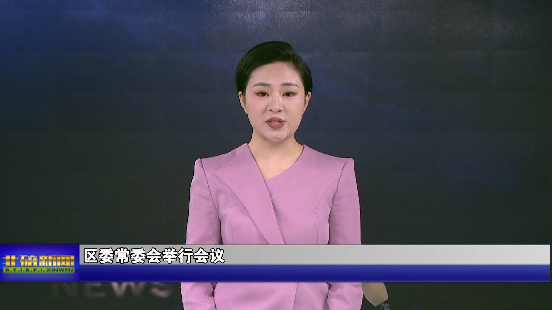 区委常委会举行会议