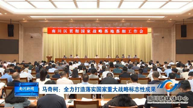 马奇柯：全力打造落实国家重大战略标志性成果