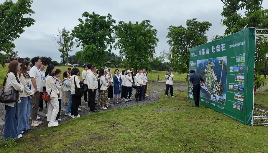 【大美南川】全国重点网络媒体南川行：风光入镜 深意留心