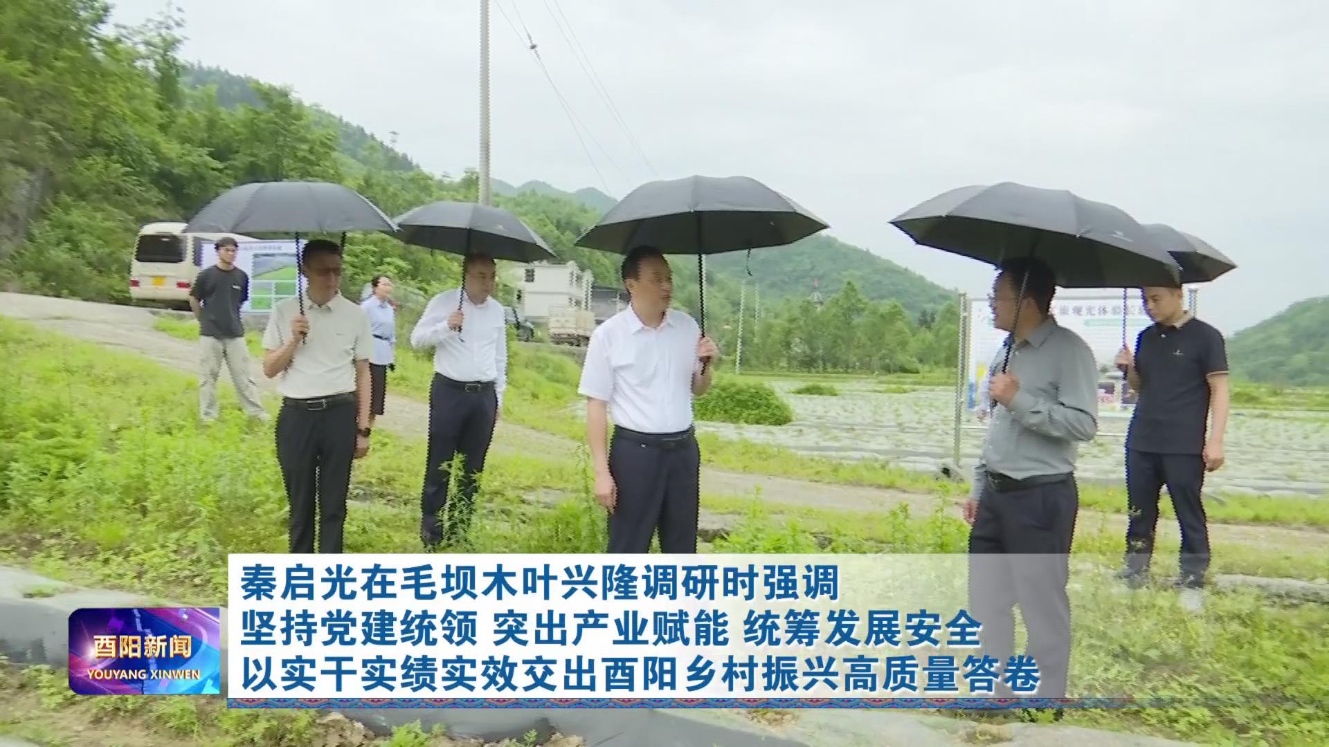 秦启光在毛坝木叶兴隆调研