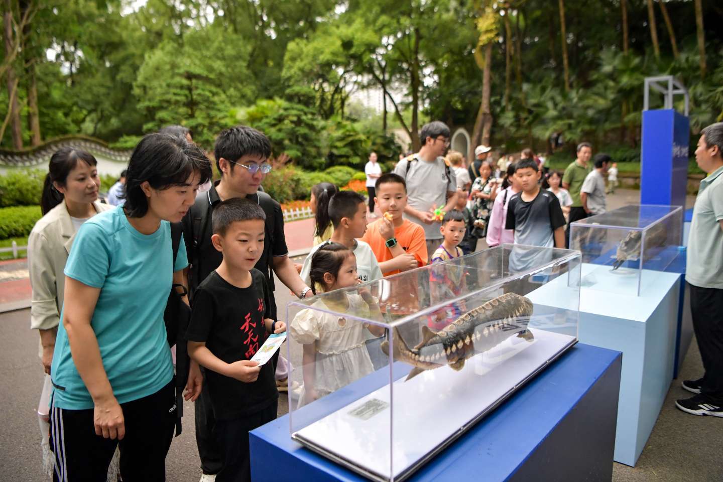 市民游客在现场近距离观赏珍稀鱼类标本。曹.jpg
