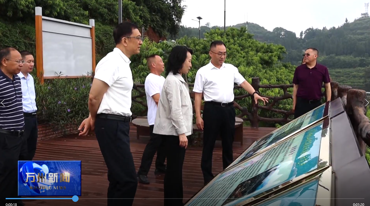 区人大常委会调研熊家镇人大工作及乡村振兴工作 王频参加