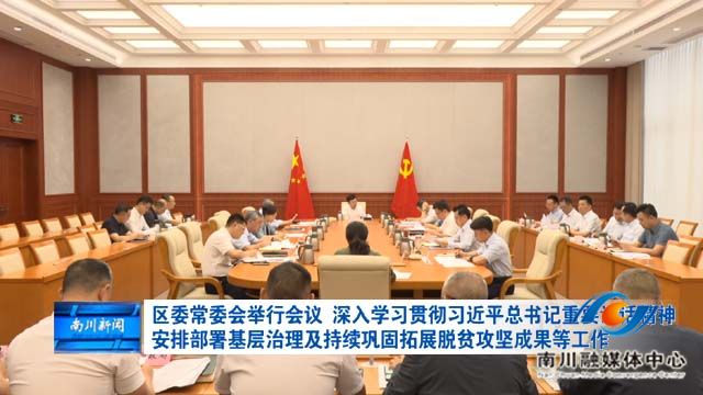 区委常委会举行会议 深入学习贯彻习近平总书记重要讲话精神 安排部署基层治理及持续巩固拓展脱贫攻坚成果等工作