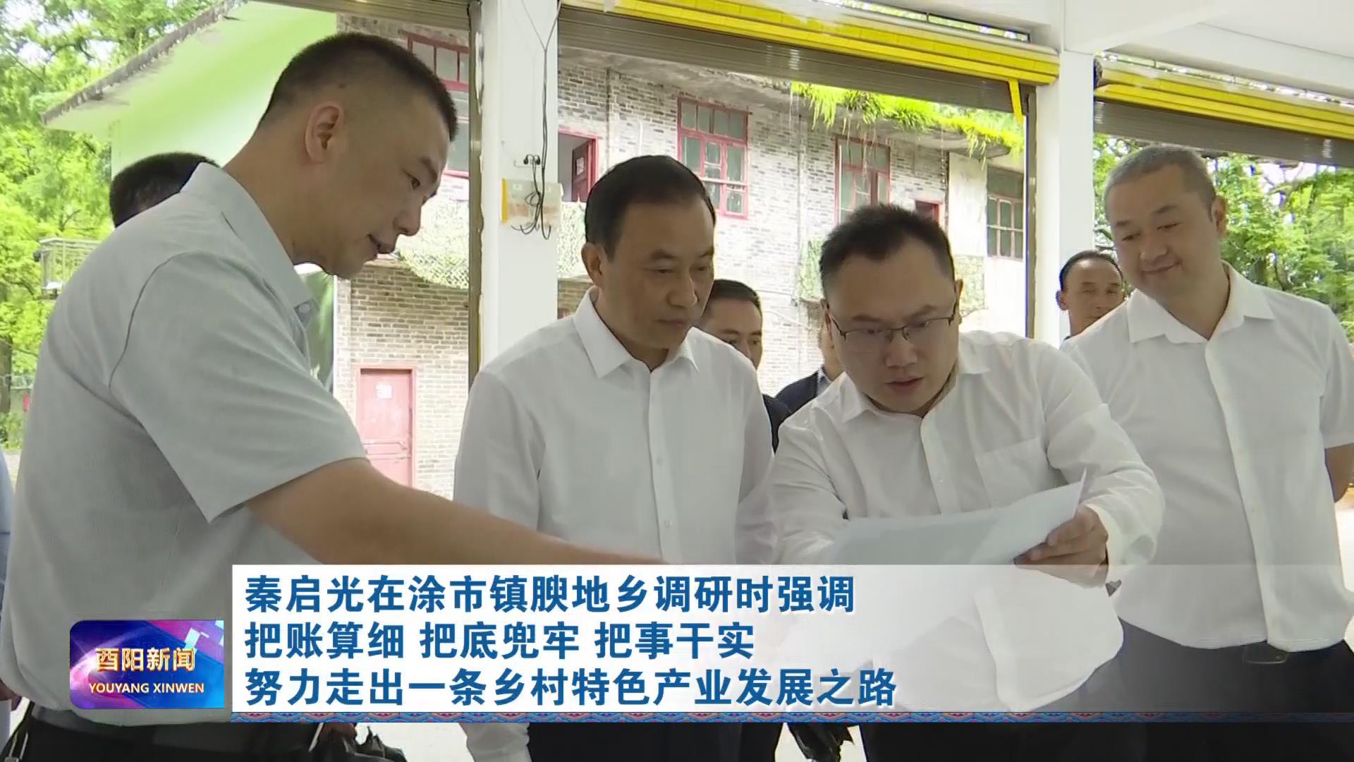 秦启光在涂市镇腴地乡调研
