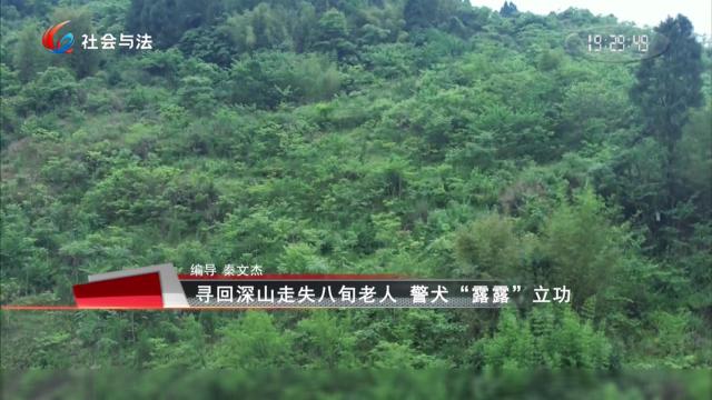 《强治理、护民安、促发展》寻回深山走失八旬老人 警犬“露露”立功