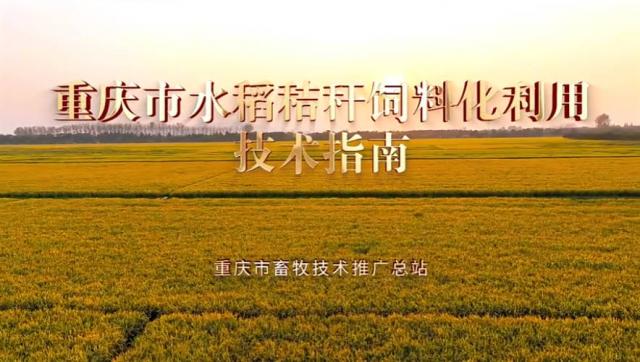 【农技慕课】重庆市水稻秸秆饲料化利用技术指南：干草方式