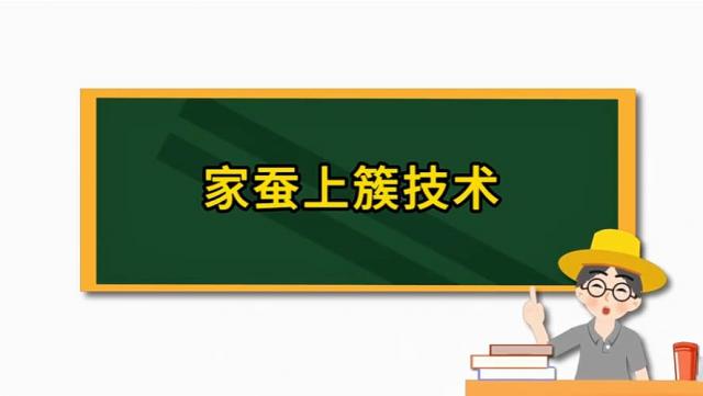 【农技慕课】家蚕上簇技术